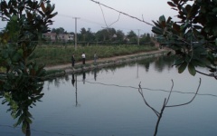 江蘇如皋九華漁場(chǎng)轉(zhuǎn)讓 江蘇如皋九華漁場(chǎng)轉(zhuǎn)讓