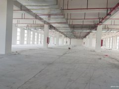 【園區(qū)直招】蘇通園區(qū)全新廠房，面積1150平，單層獨棟均有