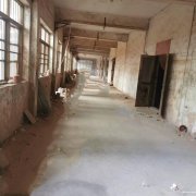 獨門獨院，可分割，有辦公樓，如皋搬經鎮(zhèn)常青中學河南側