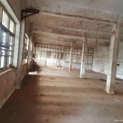 獨門獨院，可分割，有辦公樓，如皋搬經鎮(zhèn)常青中學河南側