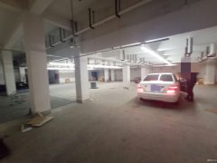 便宜地下倉庫出租，南通植物園南側(cè)，交通方便，有獨立大門CC