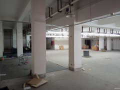 便宜地下倉庫出租，南通植物園南側(cè)，交通方便，有獨立大門CC