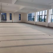 如皋市國資園區(qū)單層雙層獨棟廠房 現房租售